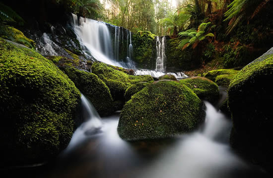 Les Horseshoe Falls (litt. « chutes en fer à cheval »). Parc national de Mt Field, Tasmanie (Australie).