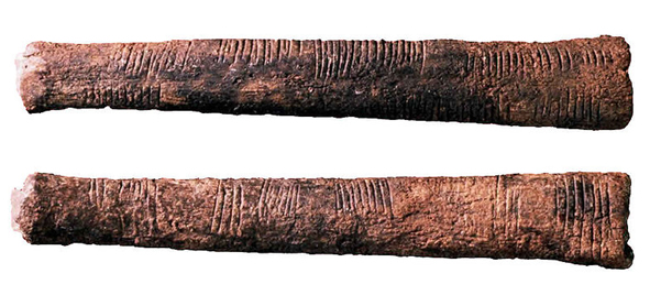 Les « os d’Ishango » (Ishango Bones) découverts au Congo et exposés au Muséum des sciences naturelles de Belgique