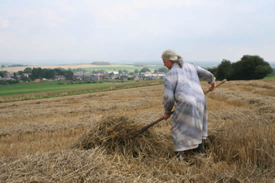 Agricultrice procédant au fanage de la paille.
