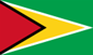 Flag_of_Guyana_svg