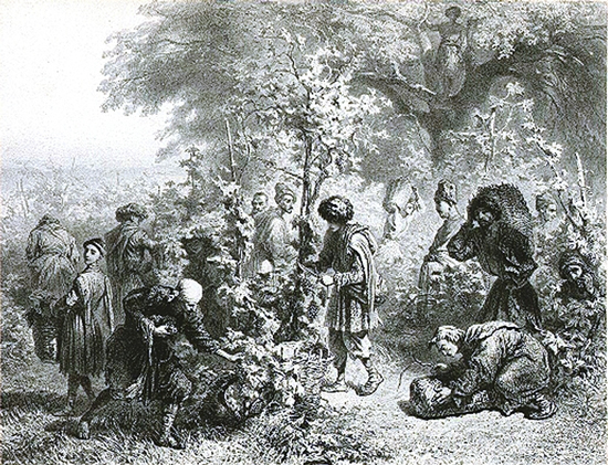 Au XIXe siècle, vendanges à l'orée des bois, en Kakhétie, (Géorgie),